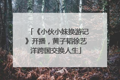 《小伙小妹换游记》开播，黄子韬徐艺洋跨国交换人生