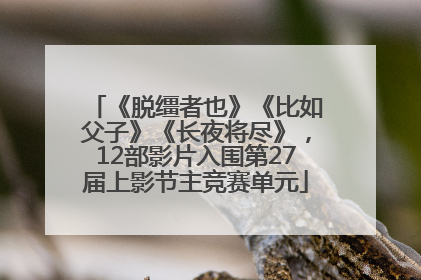 《脱缰者也》《比如父子》《长夜将尽》，12部影片入围第27届上影节主竞赛单元