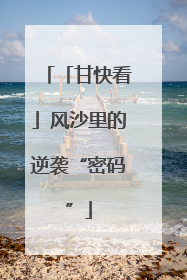「甘快看」风沙里的逆袭“密码”