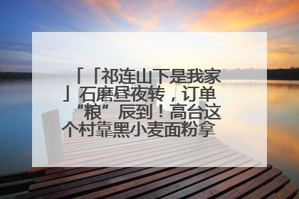 「祁连山下是我家」石磨昼夜转，订单“粮”辰到！高台这个村靠黑小麦面粉拿下成立来最大订单
