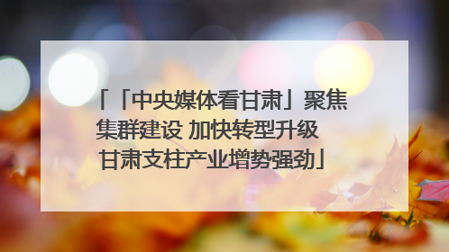 「中央媒体看甘肃」聚焦集群建设 加快转型升级 甘肃支柱产业增势强劲
