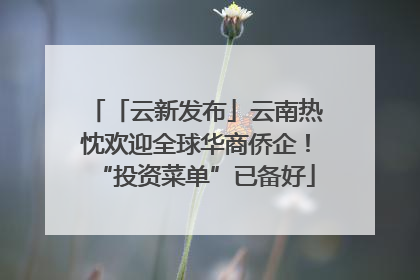 「云新发布」云南热忱欢迎全球华商侨企！“投资菜单”已备好