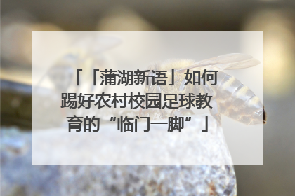 「蒲湖新语」如何踢好农村校园足球教育的“临门一脚”