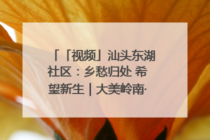 「视频」汕头东湖社区：乡愁归处 希望新生｜大美岭南·百村焕新记