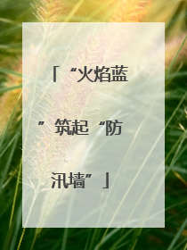“火焰蓝”筑起“防汛墙”