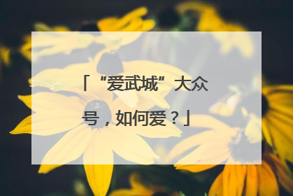 “爱武城”大众号，如何爱？