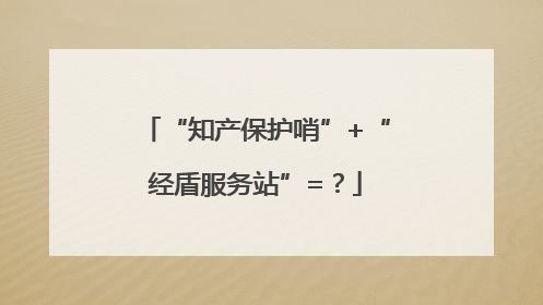“知产保护哨”+“经盾服务站”=？