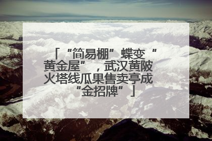 “简易棚”蝶变“黄金屋”，武汉黄陂火塔线瓜果售卖亭成“金招牌”