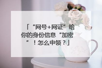 “网号+网证”给你的身份信息“加密”！怎么申领？