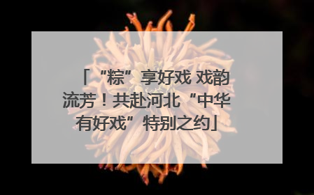 “粽”享好戏 戏韵流芳！共赴河北“中华有好戏”特别之约