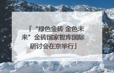 “绿色金砖 金色未来”金砖国家智库国际研讨会在京举行