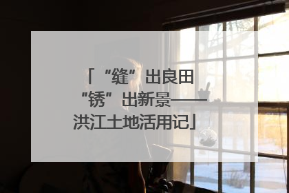 “缝”出良田 “锈”出新景——洪江土地活用记