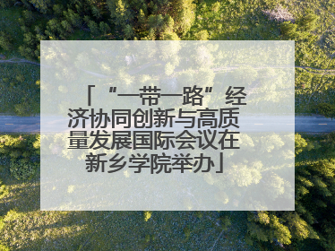 “一带一路”经济协同创新与高质量发展国际会议在新乡学院举办