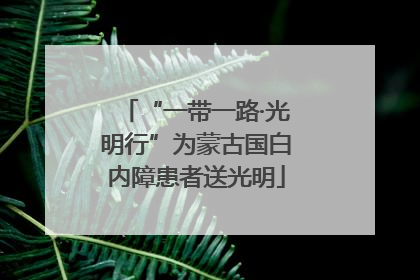 “一带一路·光明行”为蒙古国白内障患者送光明