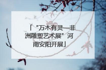 “万木有灵—非洲雕塑艺术展”河南安阳开展