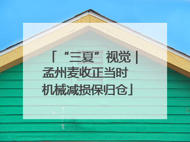 “三夏”视觉｜孟州麦收正当时 机械减损保归仓