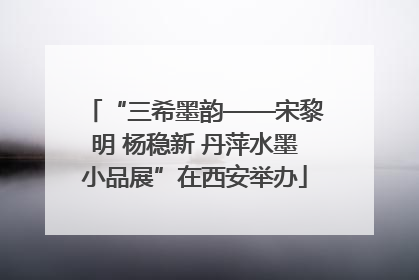 “三希墨韵——宋黎明 杨稳新 丹萍水墨小品展”在西安举办