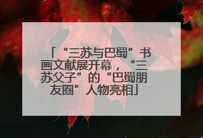 “三苏与巴蜀”书画文献展开幕，“三苏父子”的“巴蜀朋友圈”人物亮相