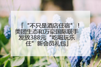 “不只是酒店住宿”！美团生态和万豪国际联手发放388元“吃喝玩乐住”新会员礼包