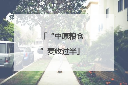 “中原粮仓”麦收过半