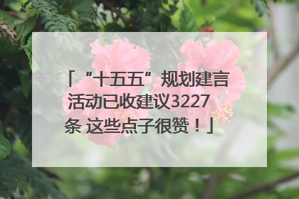 “十五五”规划建言活动已收建议3227条 这些点子很赞！
