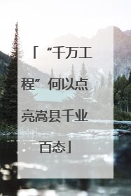 “千万工程”何以点亮嵩县千业百态