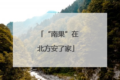 “南果”在北方安了家