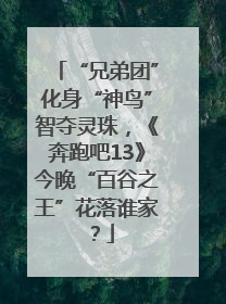 “兄弟团”化身“神鸟”智夺灵珠，《奔跑吧13》今晚“百谷之王”花落谁家？