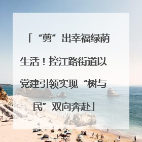 “剪”出幸福绿荫生活！控江路街道以党建引领实现“树与民”双向奔赴