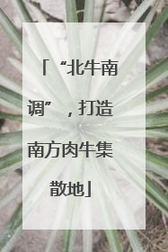 “北牛南调”，打造南方肉牛集散地