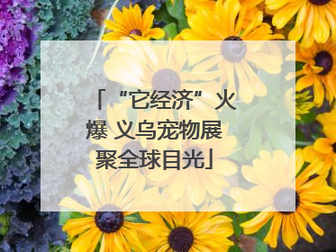 “它经济”火爆 义乌宠物展聚全球目光