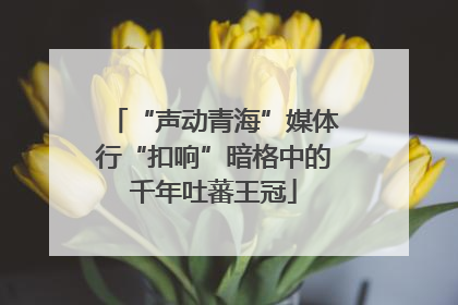 “声动青海”媒体行“扣响”暗格中的千年吐蕃王冠