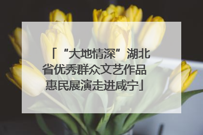 “大地情深”湖北省优秀群众文艺作品惠民展演走进咸宁