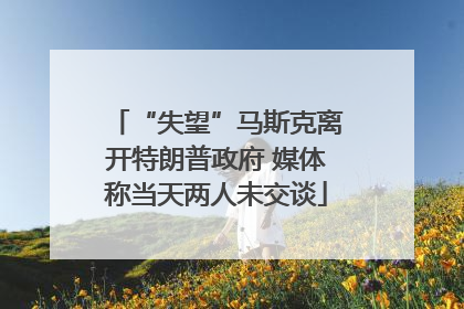 “失望”马斯克离开特朗普政府 媒体称当天两人未交谈