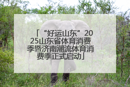 “好运山东”2025山东省体育消费季暨济南潮流体育消费季正式启动