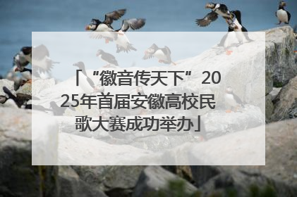“徽音传天下”2025年首届安徽高校民歌大赛成功举办