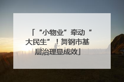 “小物业”牵动“大民生”！舞钢市基层治理显成效