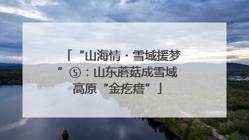 “山海情・雪域援梦”⑤：山东蘑菇成雪域高原“金疙瘩”