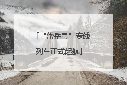 “岱岳号”专线列车正式起航