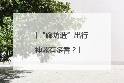 “廊坊造”出行神器有多香？