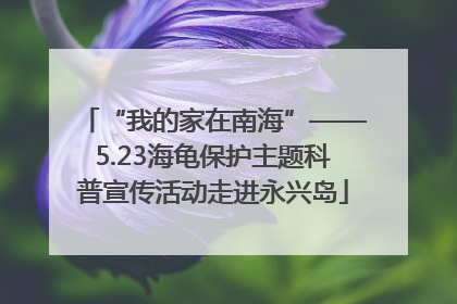 “我的家在南海”——5.23海龟保护主题科普宣传活动走进永兴岛