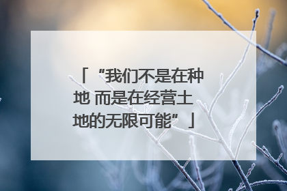 “我们不是在种地 而是在经营土地的无限可能”