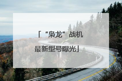 “枭龙”战机最新型号曝光