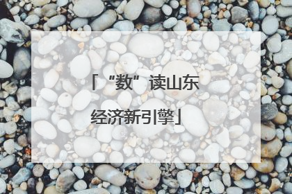 “数”读山东经济新引擎