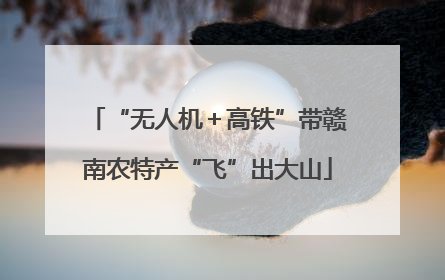 “无人机＋高铁”带赣南农特产“飞”出大山