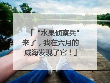 “水果侦察兵”来了，我在六月的威海发现了它！
