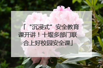 “沉浸式”安全教育课开讲！十堰多部门联合上好校园安全课