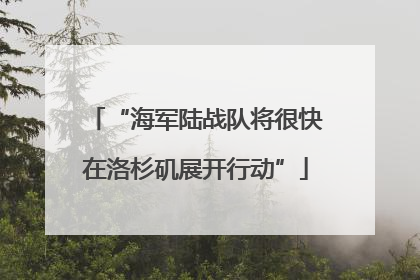 “海军陆战队将很快在洛杉矶展开行动”