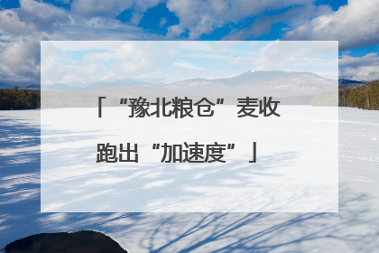 “豫北粮仓”麦收跑出“加速度”