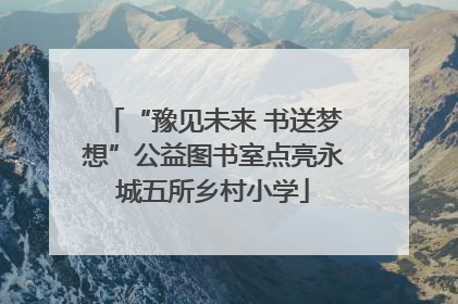“豫见未来 书送梦想”公益图书室点亮永城五所乡村小学